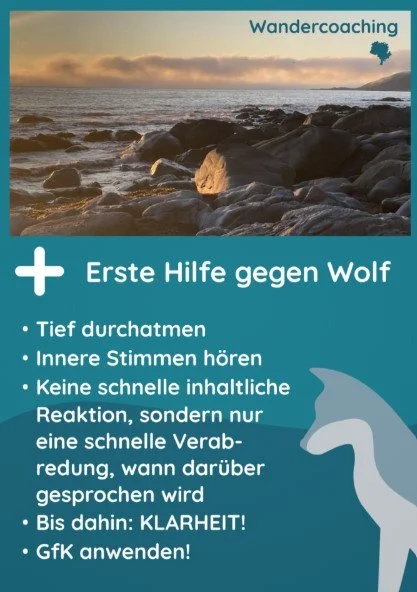 Erste_Hilfe_gegen_Wolf.jpg