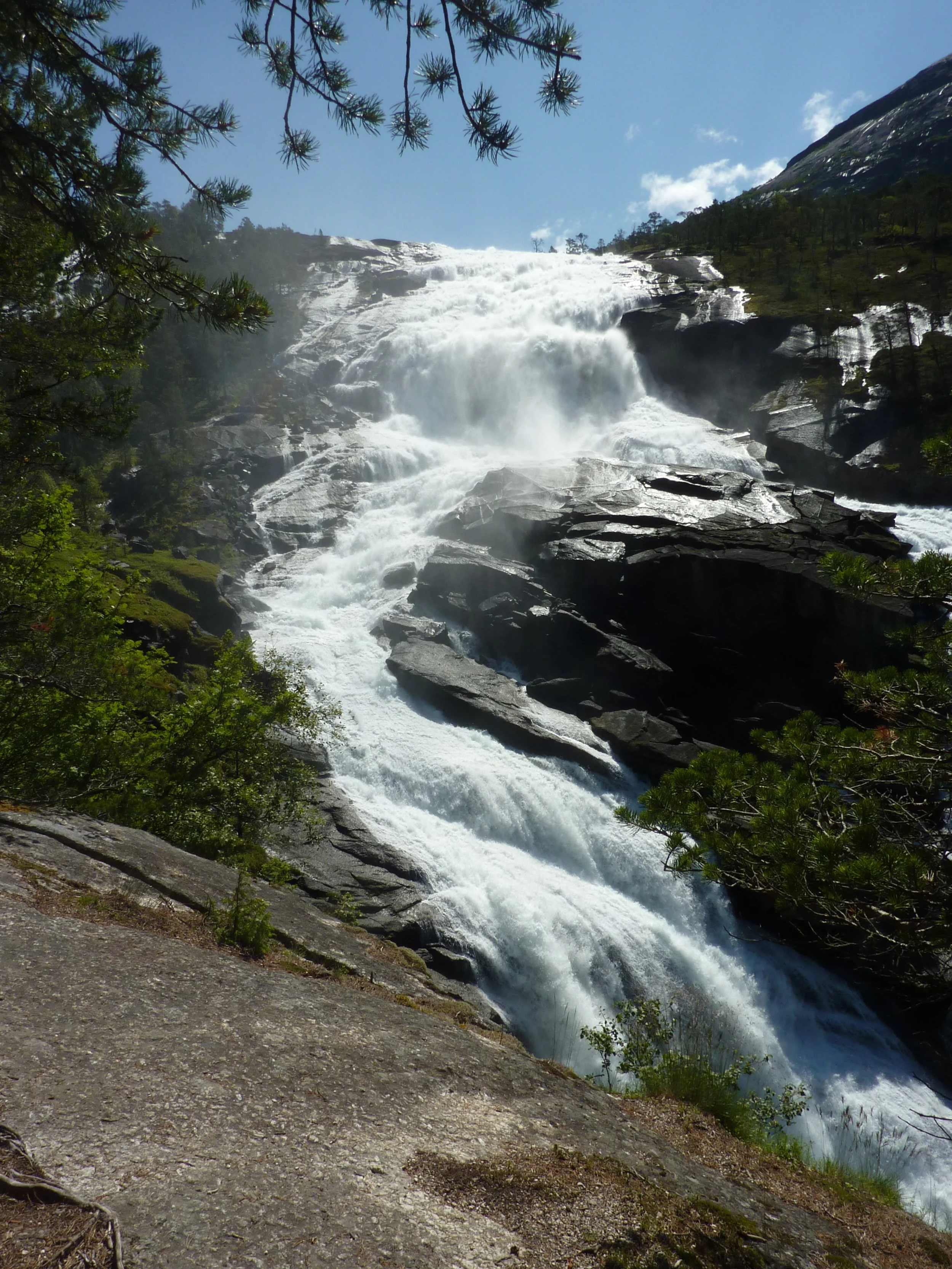 "Neue Energie tanken"