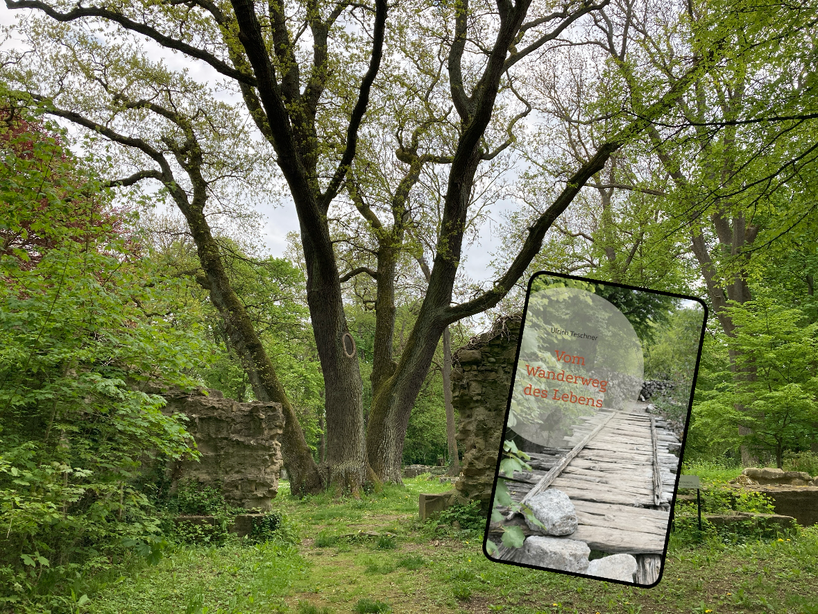 10.2.2026: Kennst du den Disibodenberg?