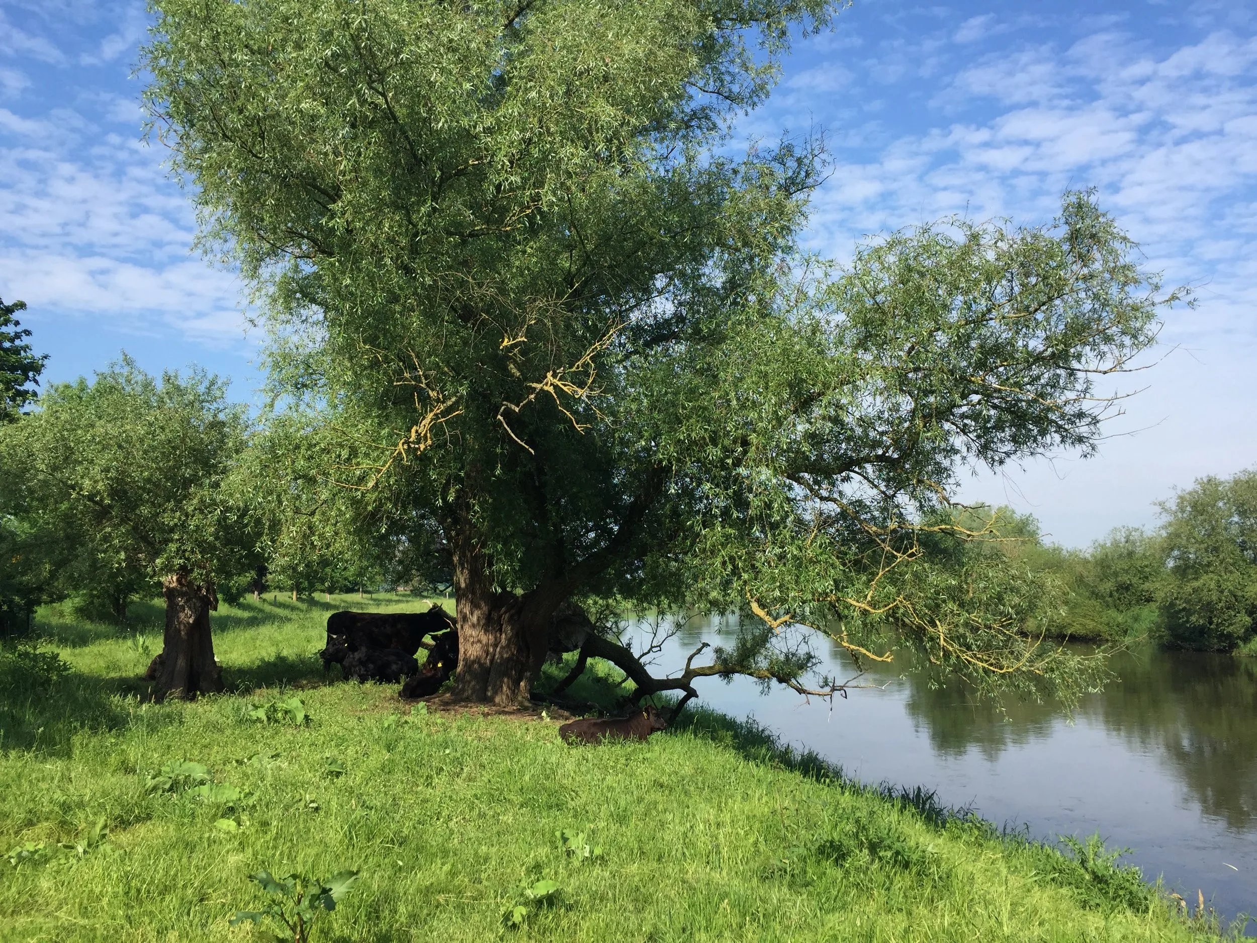 29.3.2026: Schöne Osterferien!