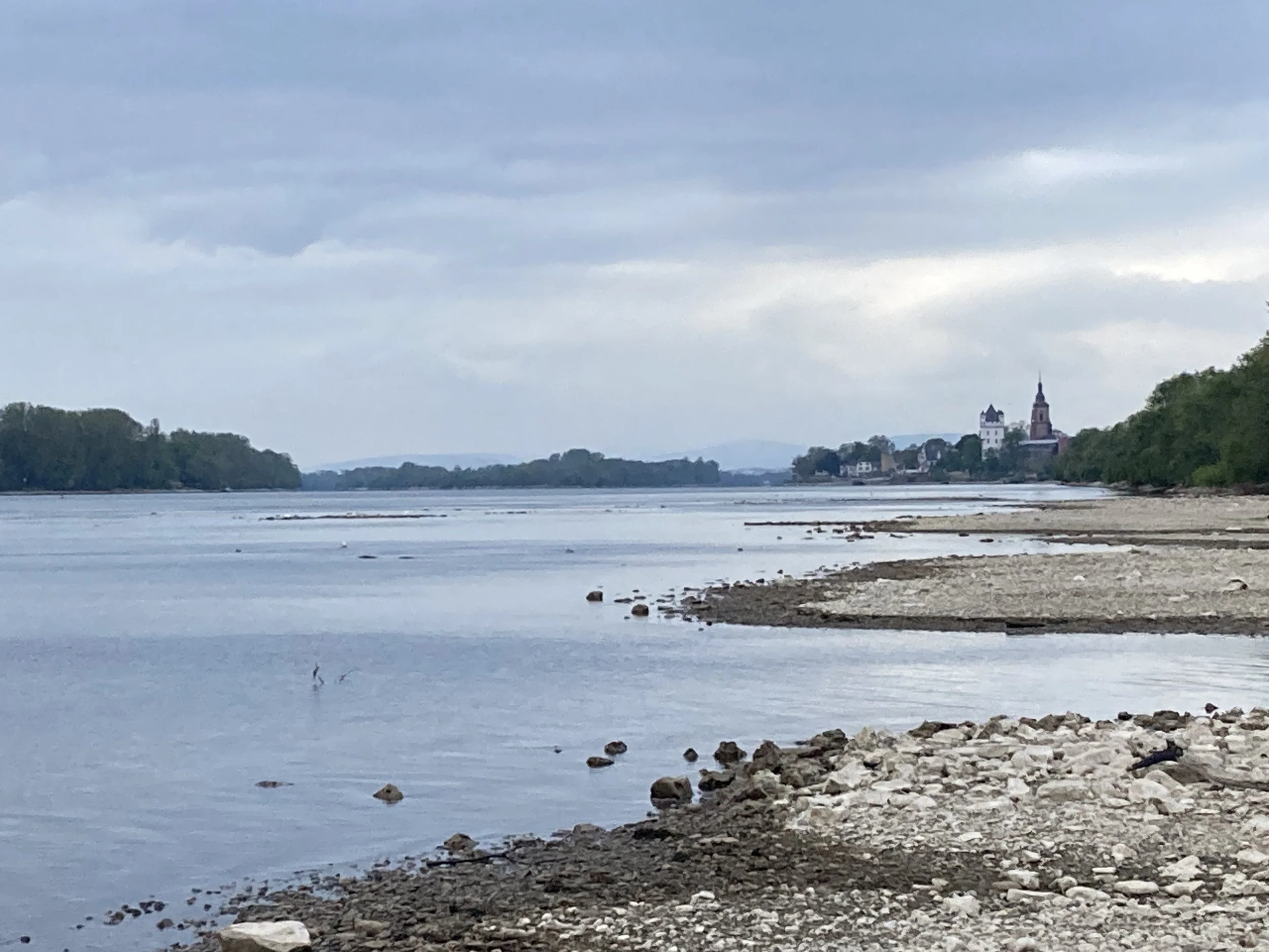 Rheinufer, Blick auf Eltville