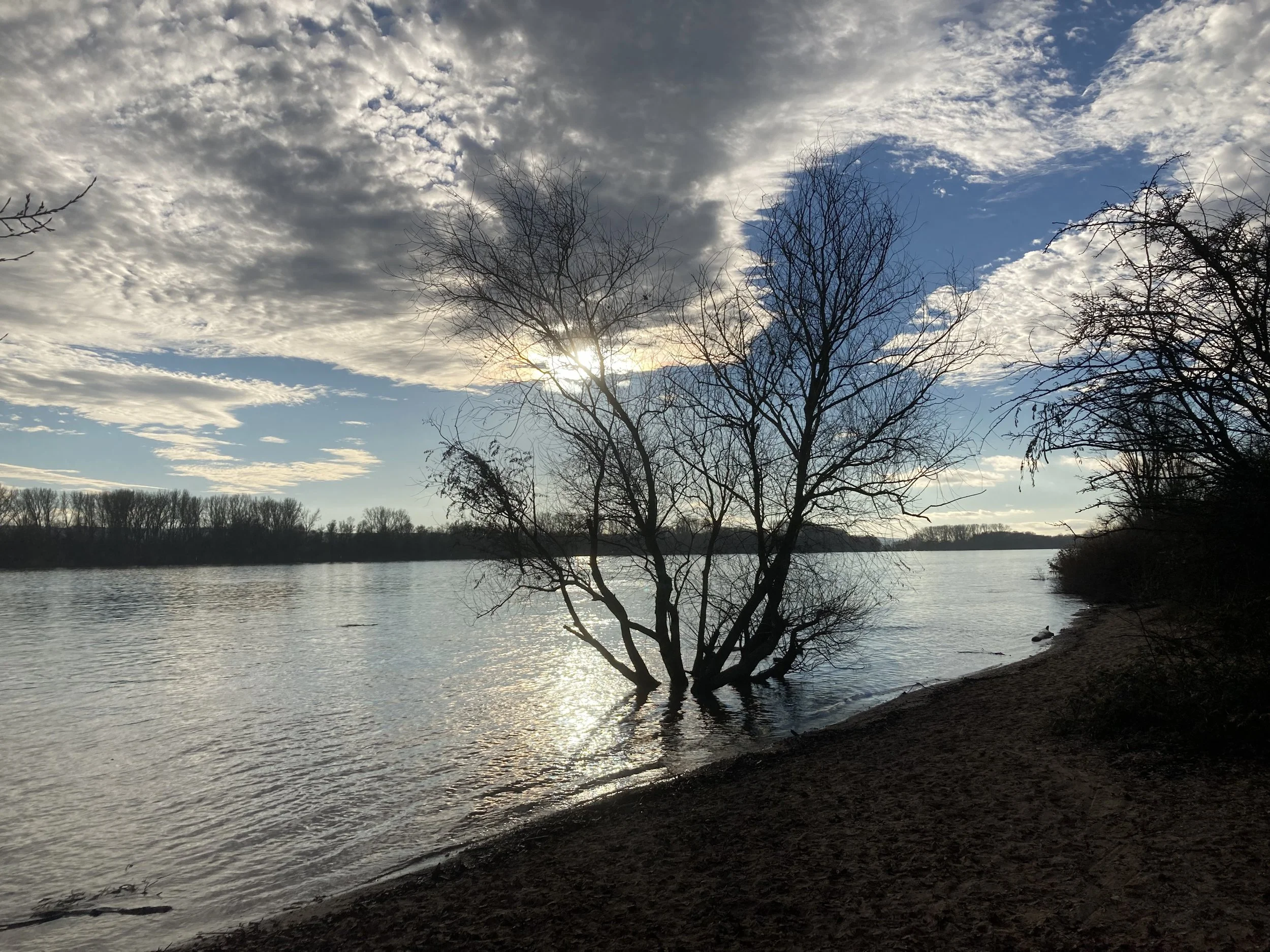 Rheinstrand.jpeg