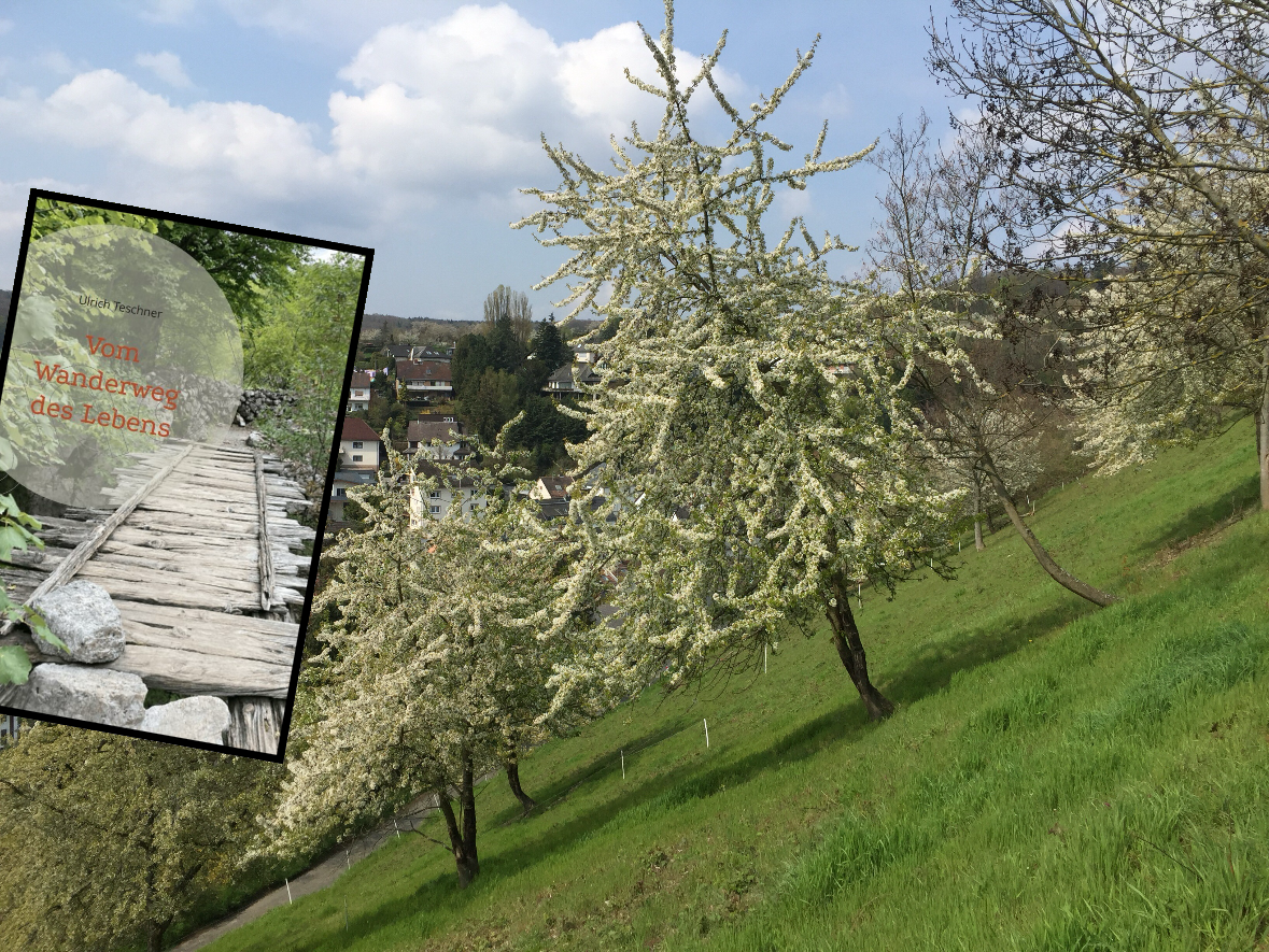 Wanderlesung "Vom Wanderweg des Lebens" - Wiesbaden Frauenstein (5km, 120Hm)