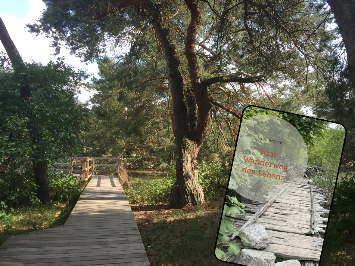 Wanderlesung "Vom Wanderweg des Lebens" zur Schwanheimer Düne (5,5 km) - am 13.09.2026 - Ticket