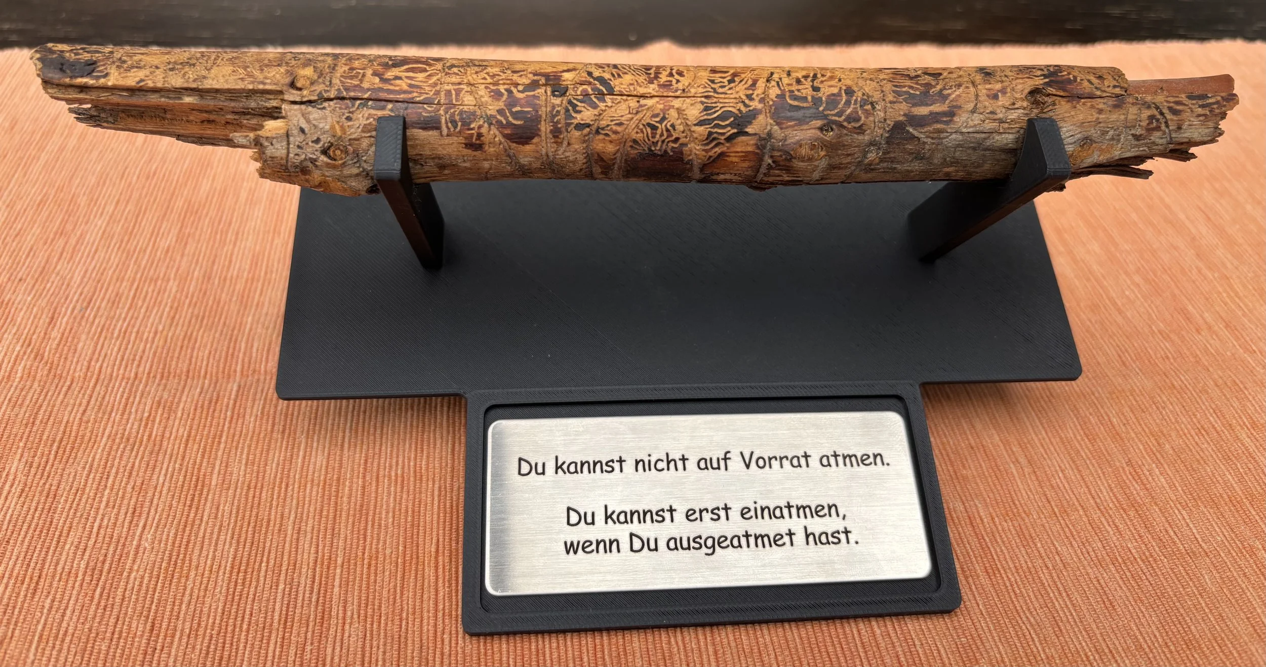 Borkenkäfer-Kunstwerk (Unikat)