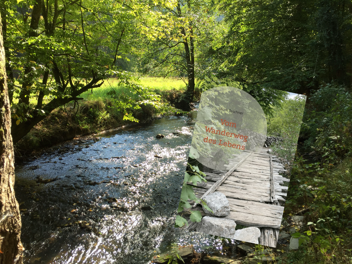 Wanderlesung "Vom Wanderweg des Lebens" ins Mühlbachtal (9km) - am 8.05.2026 - Ticket