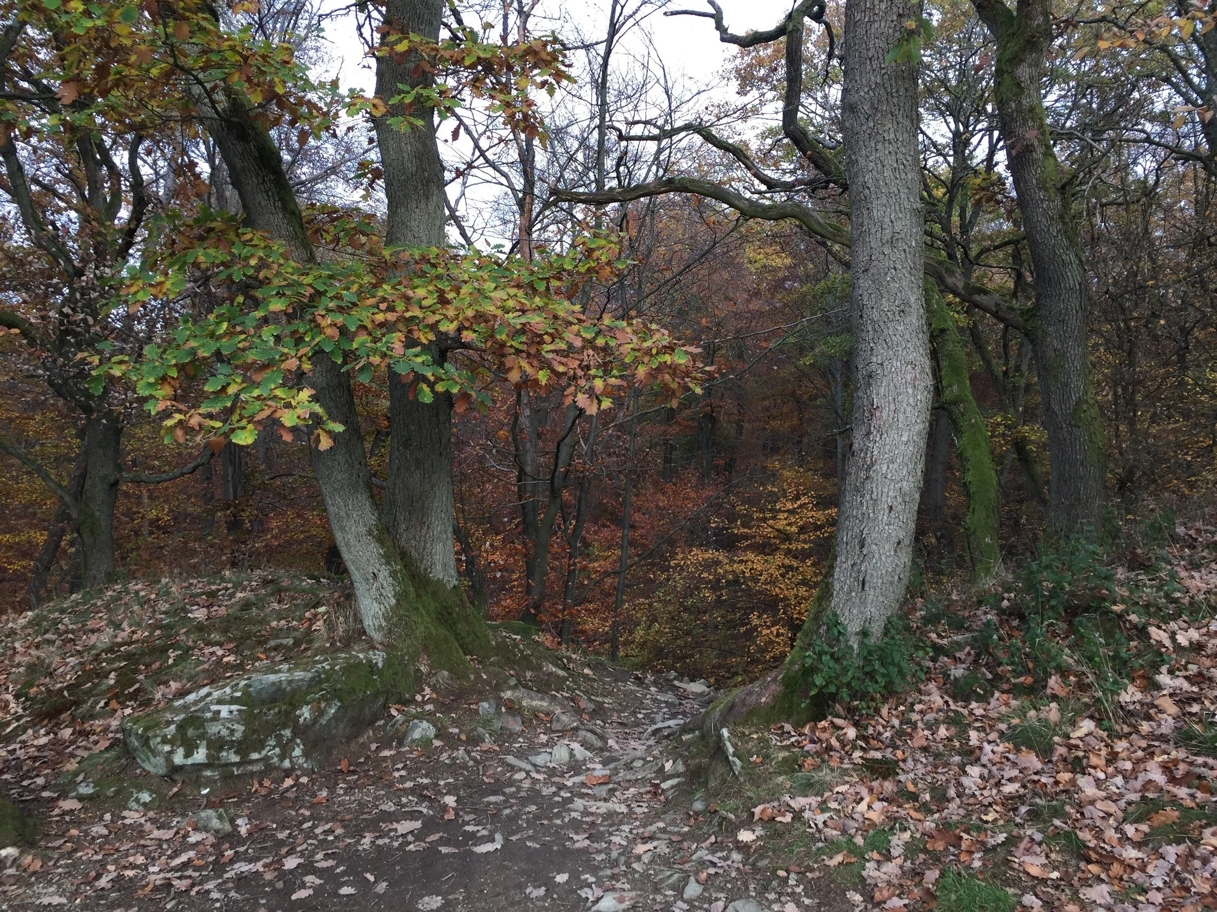 Portal Hünerberg.jpg