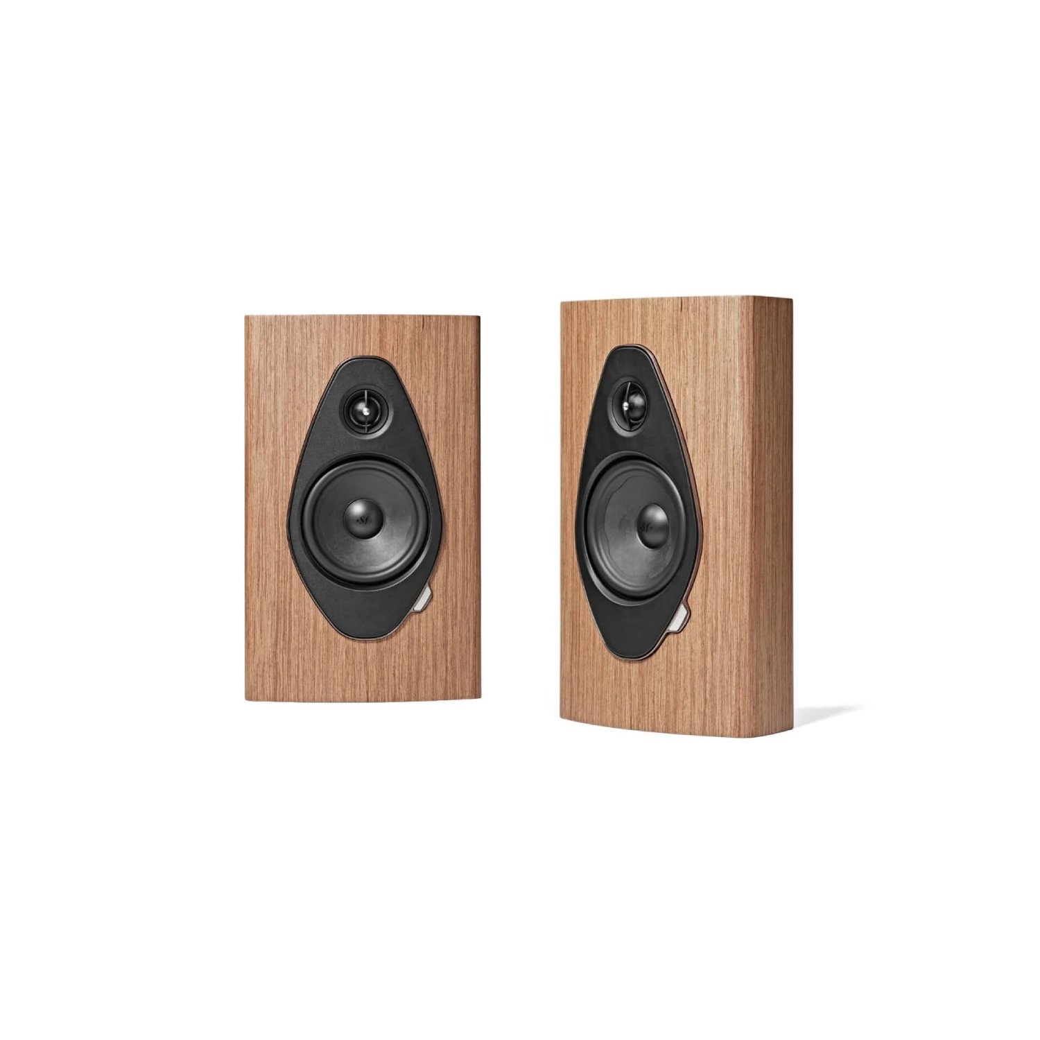 walnut.jpg
