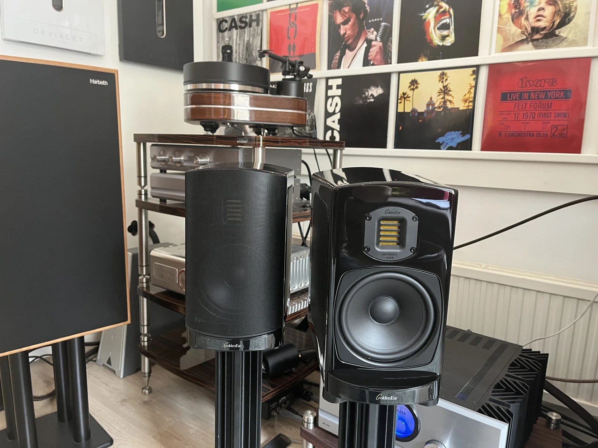 Goldenear-3.jpg