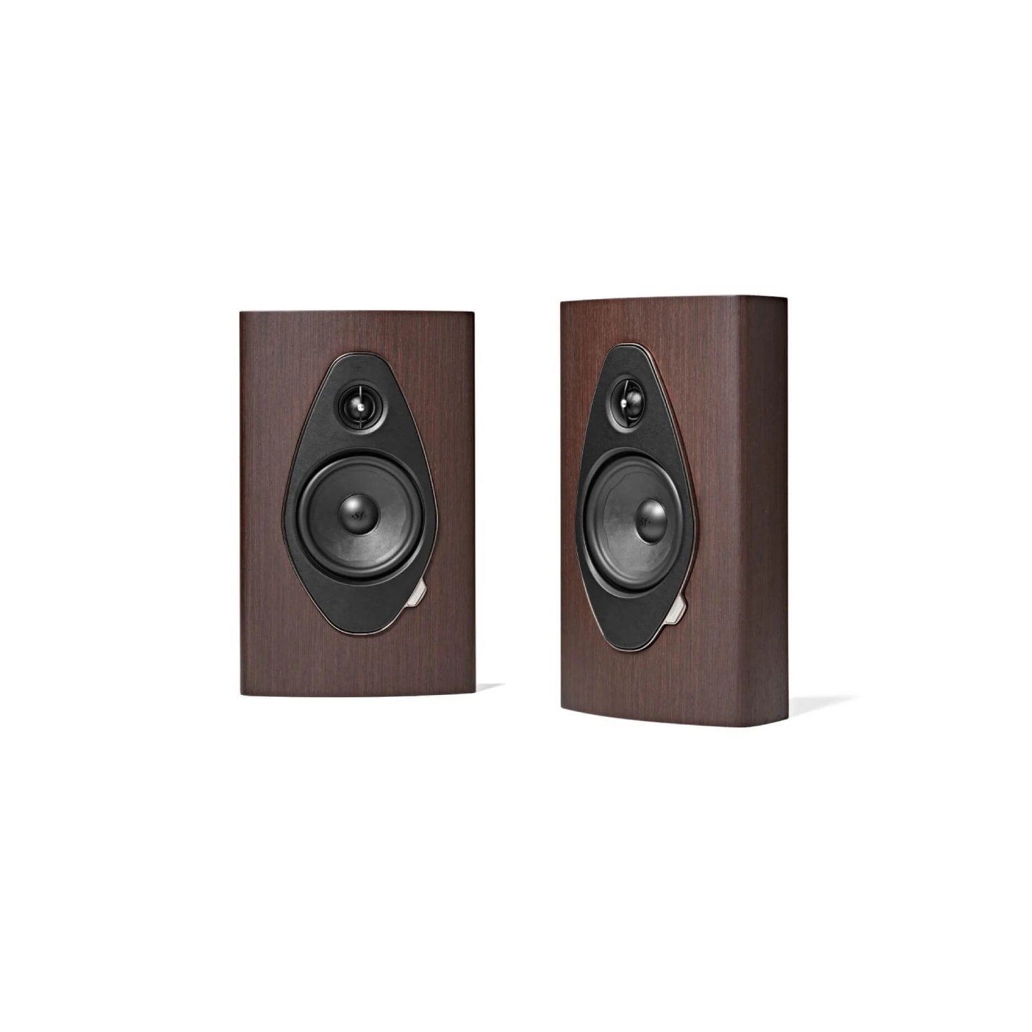 wenge.jpg