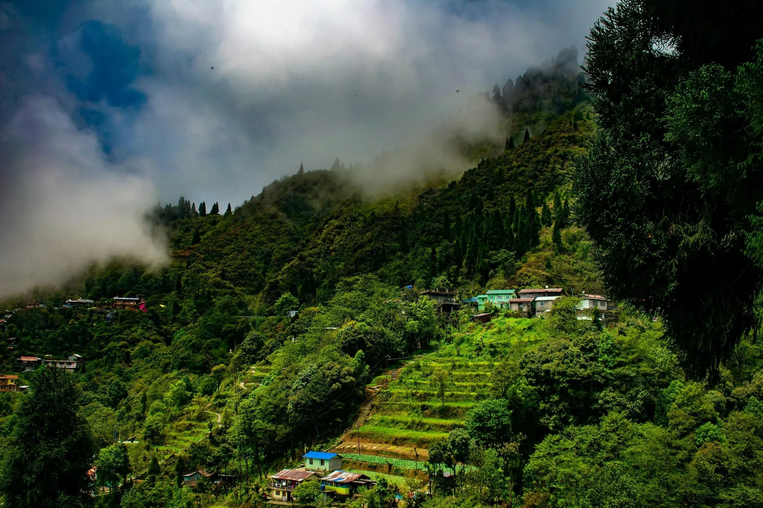 Glimpses of life in North Bengal