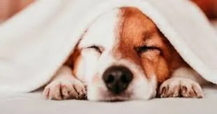 How to Boost Your Productivity