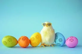 Geen vergadering (Paasvakantie) 🐣