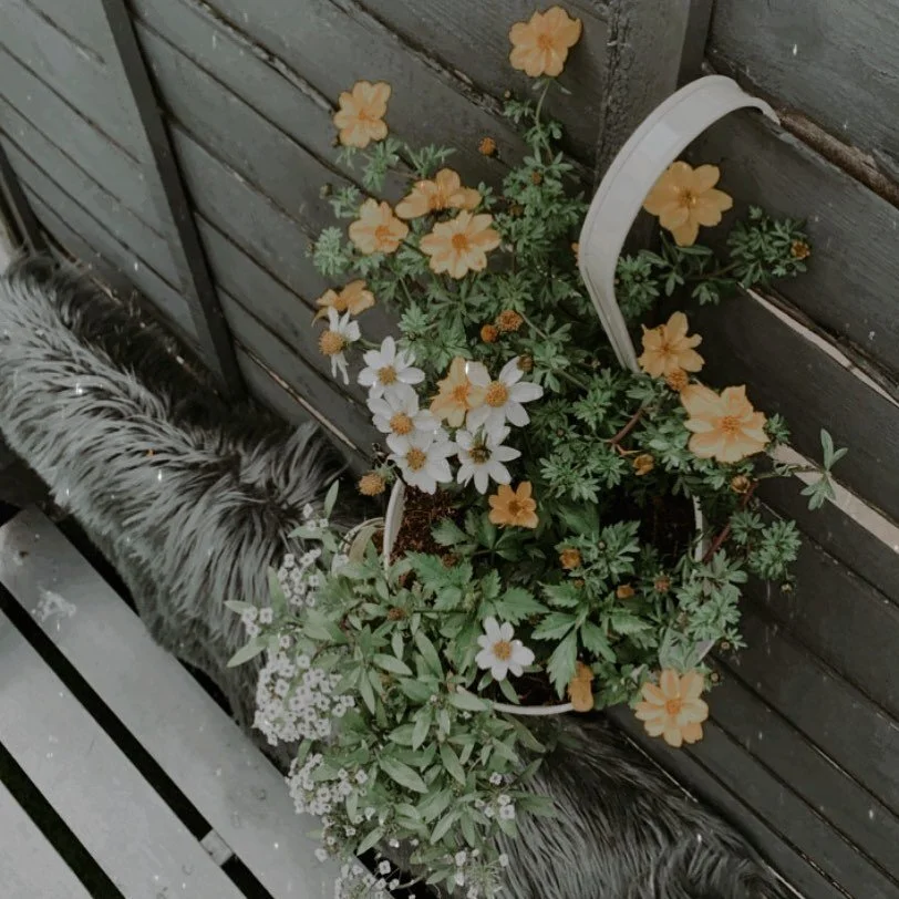 If you want those flowers to grow, remember to water them, right 💁🏻&zwj;♀️💐

Nurturing Monday vibes from my little plant hangers that are likely to last erm, maybe a month?? 🙃