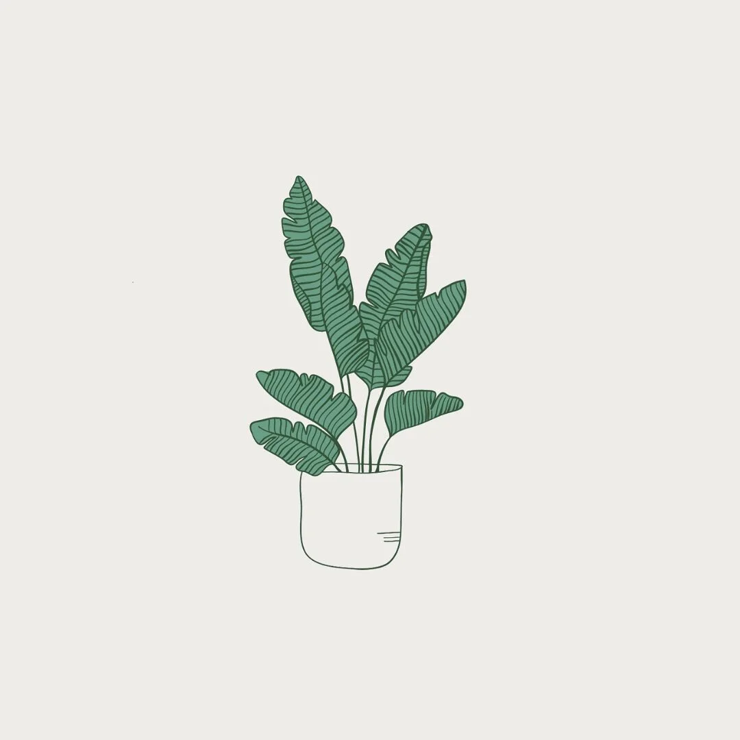 Life, renewal, nature &amp; energy 🪴

Broccoli aside, I&rsquo;m forever drawn to a leafy green hue 🤩