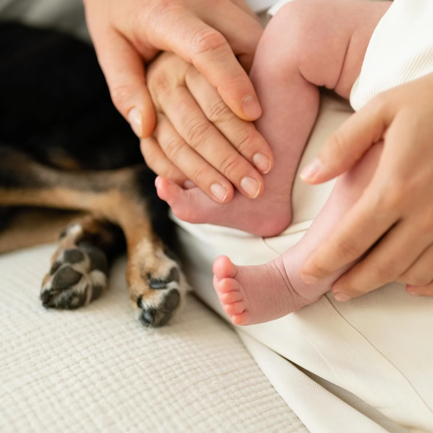 Una settimana fa ho fotografato una famiglia con la loro bimba di due mesi&hellip; e con Tyson, il loro cane ormai anziano e malato.
Oggi ho saputo che non c&rsquo;&egrave; pi&ugrave;.
Il cuore si stringe, ma so che quelle fotografie avranno un valor