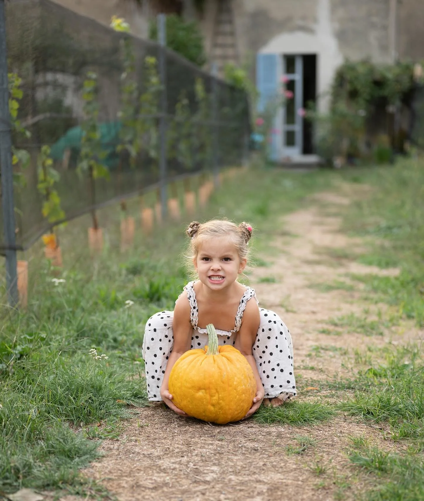 Quando la zucca &egrave; pi&ugrave; grande di te&hellip; ma la determinazione non manca! 🍂🎃

Buon Halloween a tutti! 👻✨

#halloween2025 #pumpkinlove #autumnvibes #kidsphotography #childhoodmoments #fallphotoshoot #sweetmoments #portraitphotography