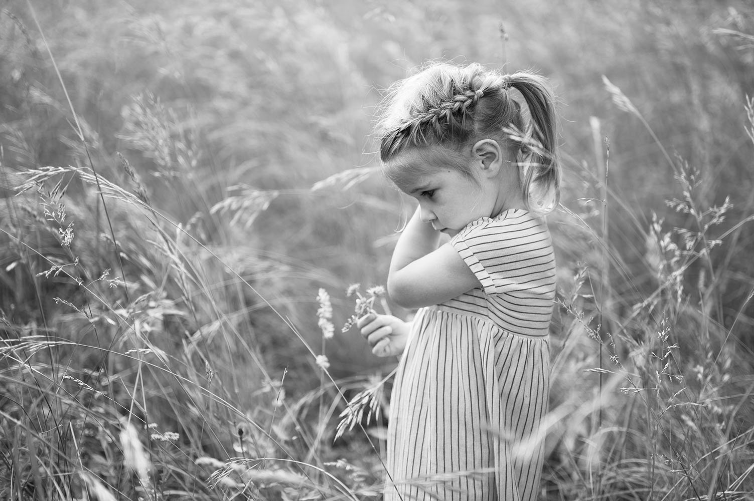 Fotografia famiglia bimba con treccina nell'erba alta