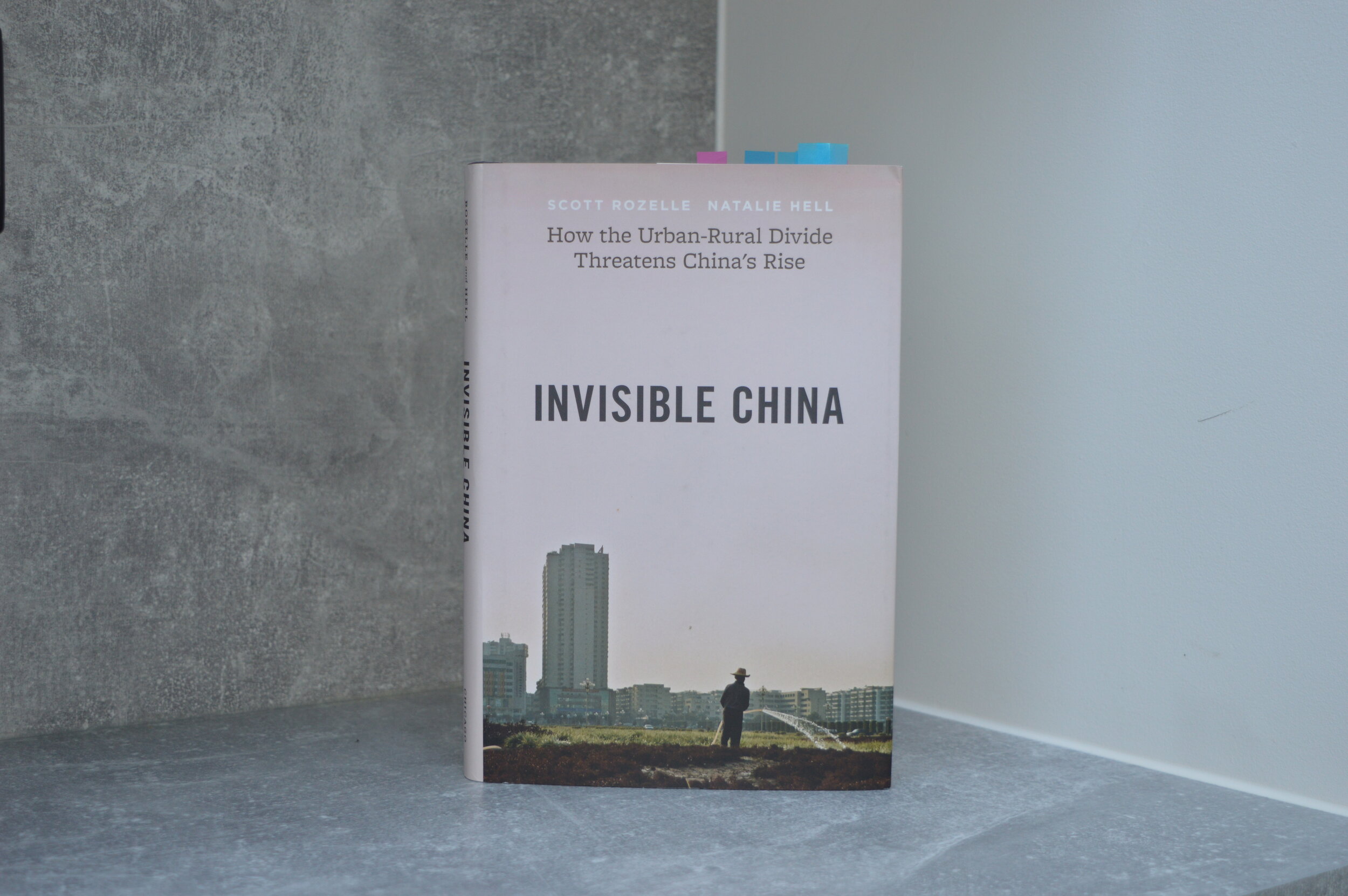 Invisible China How the Urban-Rural Divide Threatens China's Rise 