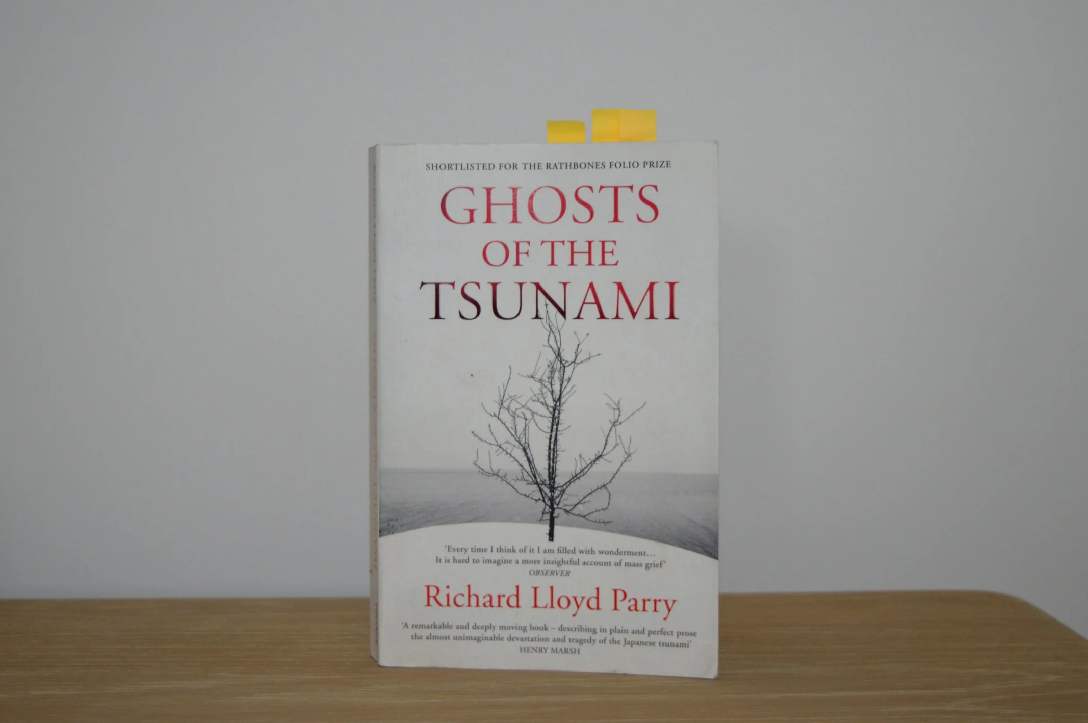 Ghosts of the Tsunami