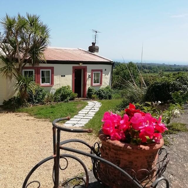 Get on your bike! #sheepwalkhouse #sheepwalk #staycation #visitireland #wicklow #arklow #bike #flowers #summervibes #thebarn #selfcatering