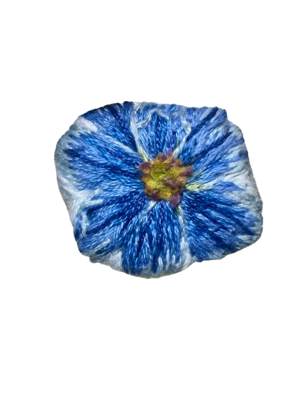 IMG_5560.png