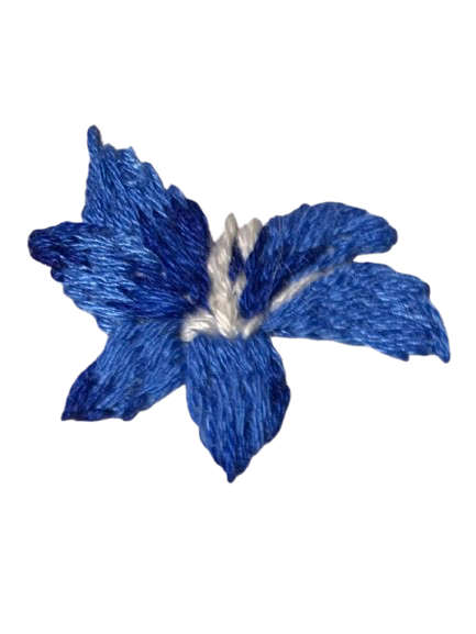 IMG_5520.png