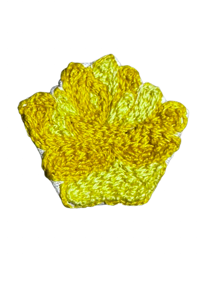 IMG_5509.png