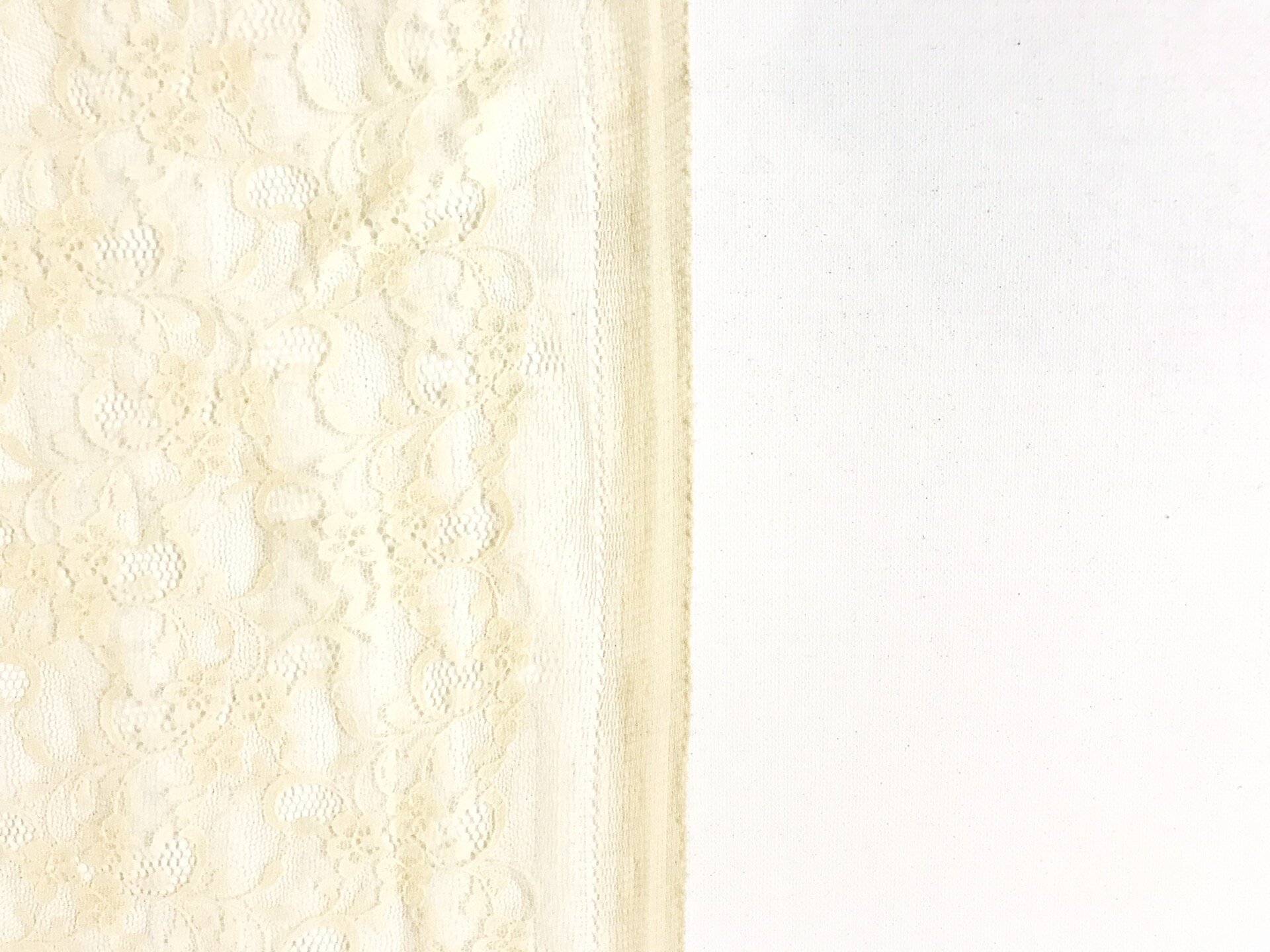Ivory Corded Lace — Tammam