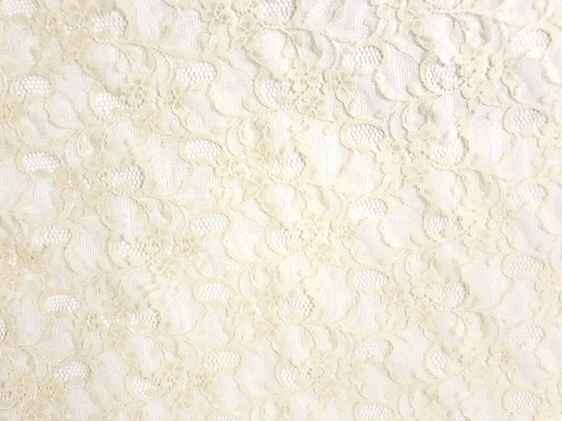 Pale Peach Lace 3.jpg