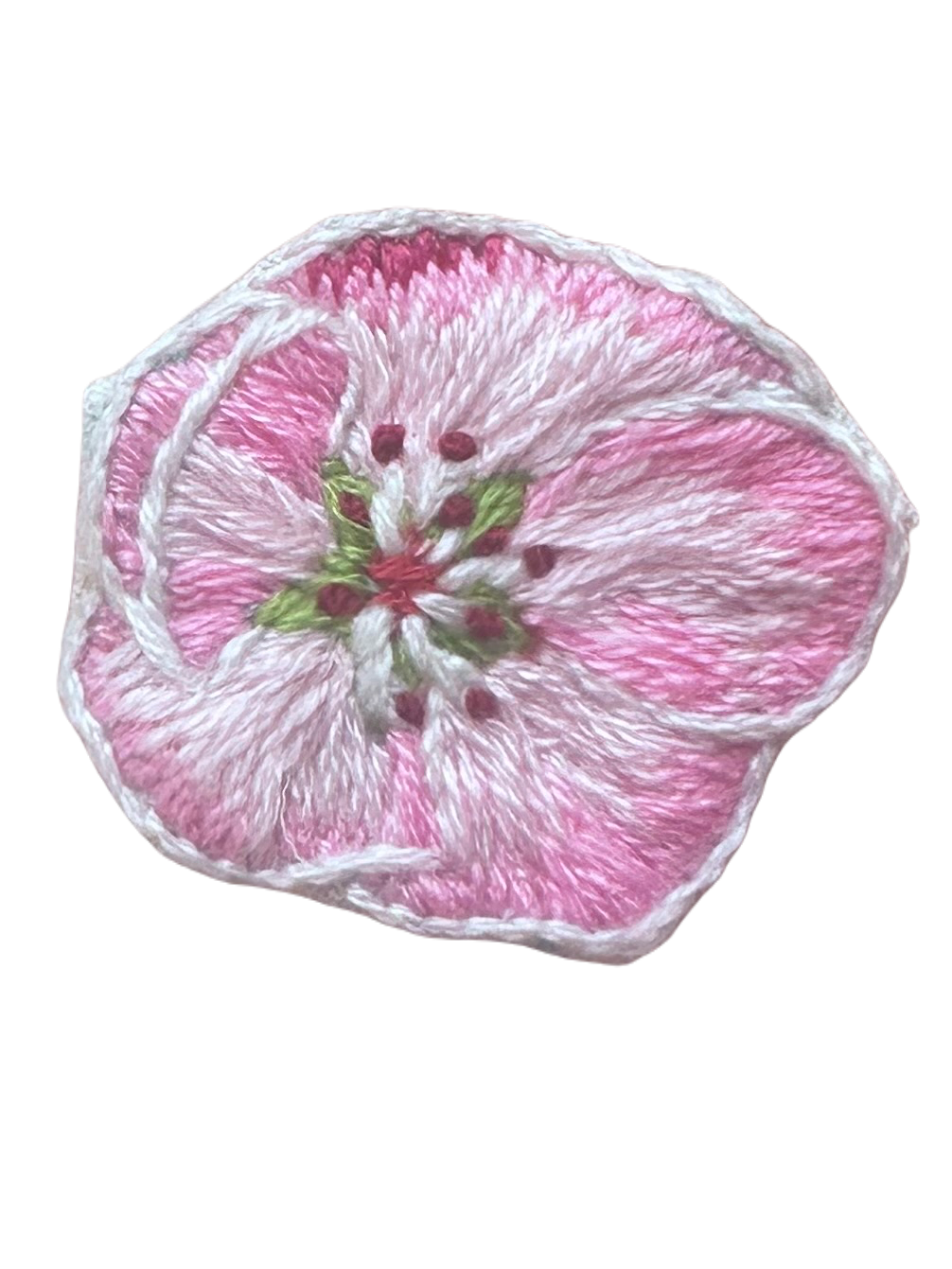 IMG_4028.png