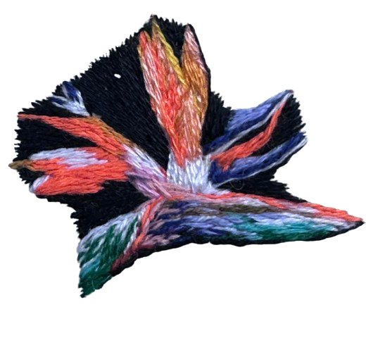 IMG_3941.png