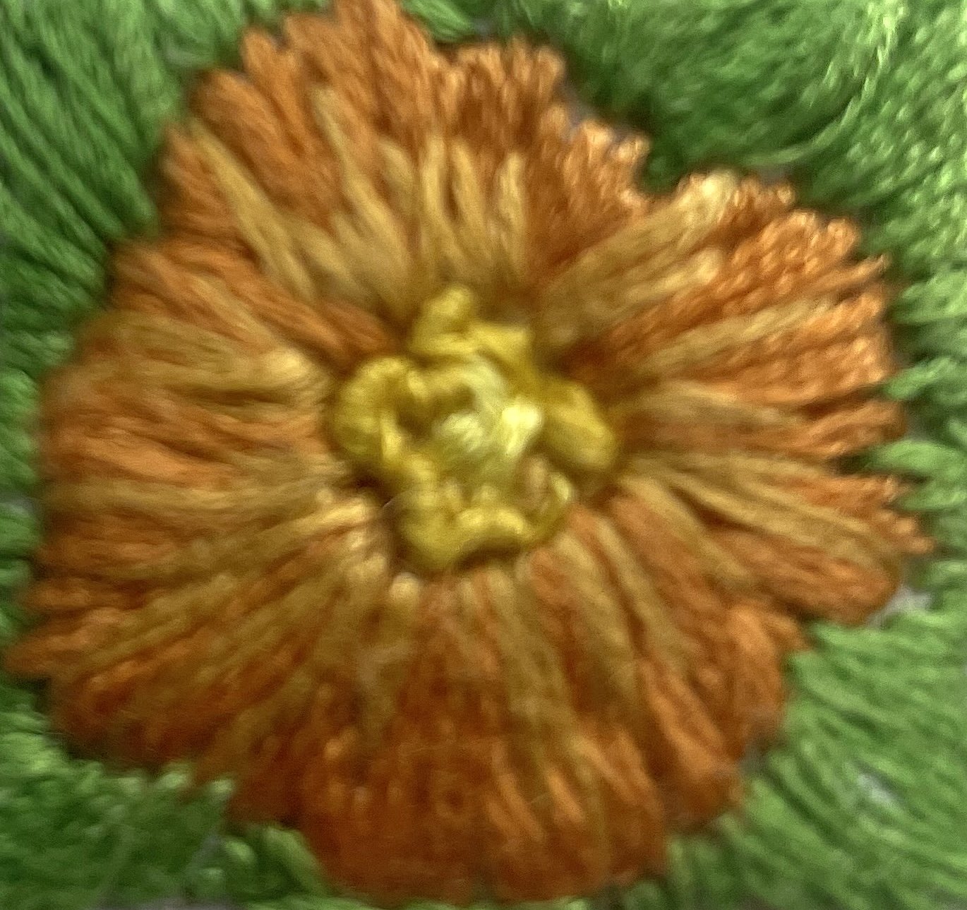 Mexican sunflower grassland by Radha.jpg