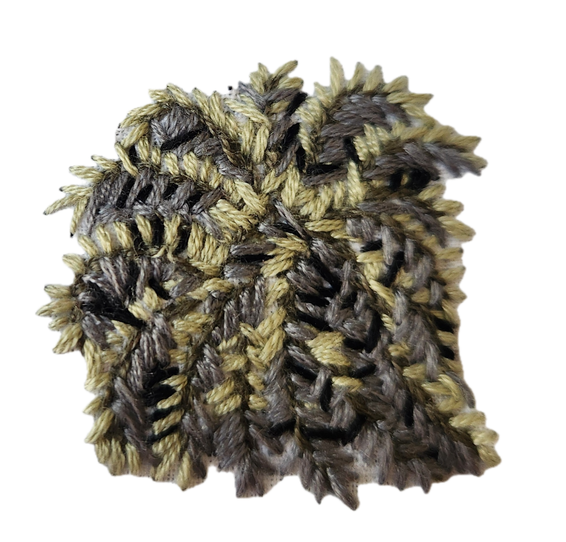 Encephalartos horridus.png