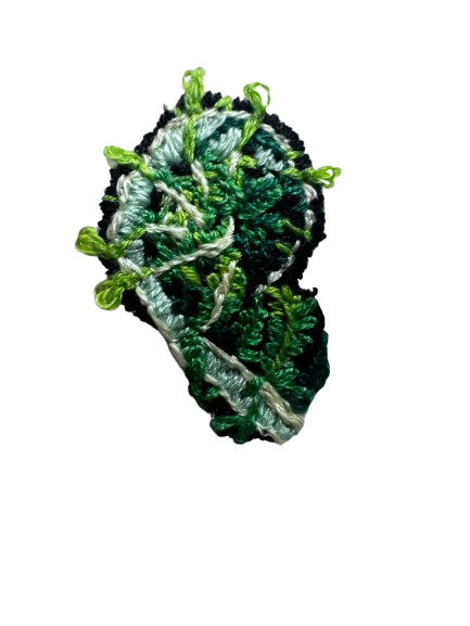 IMG_3940.png