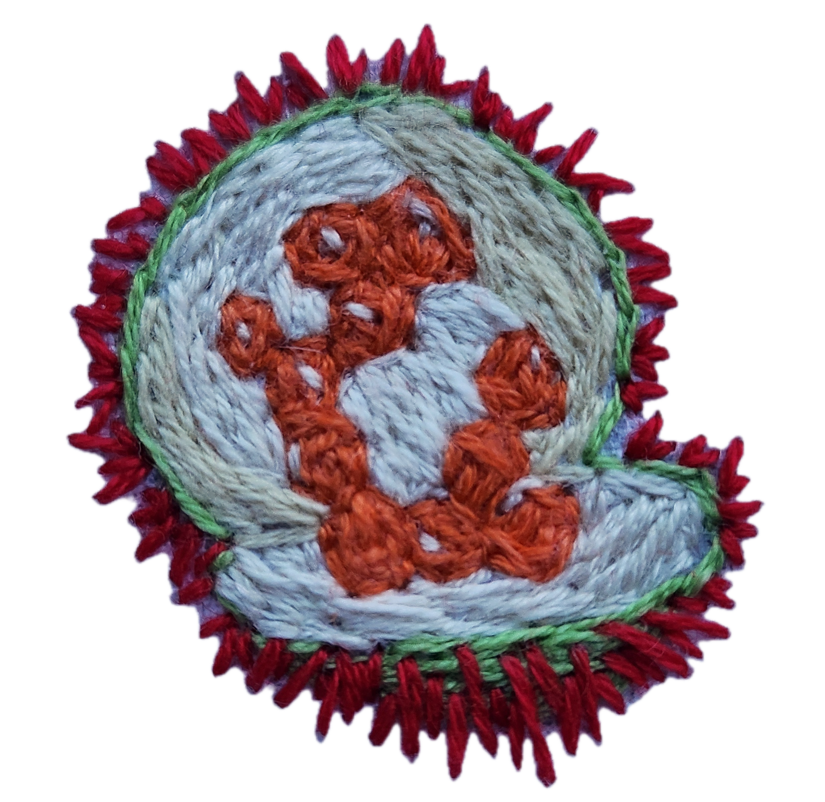 Orellana fruit - Rebecca Soper .png