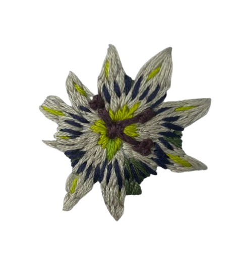 IMG_3670.png