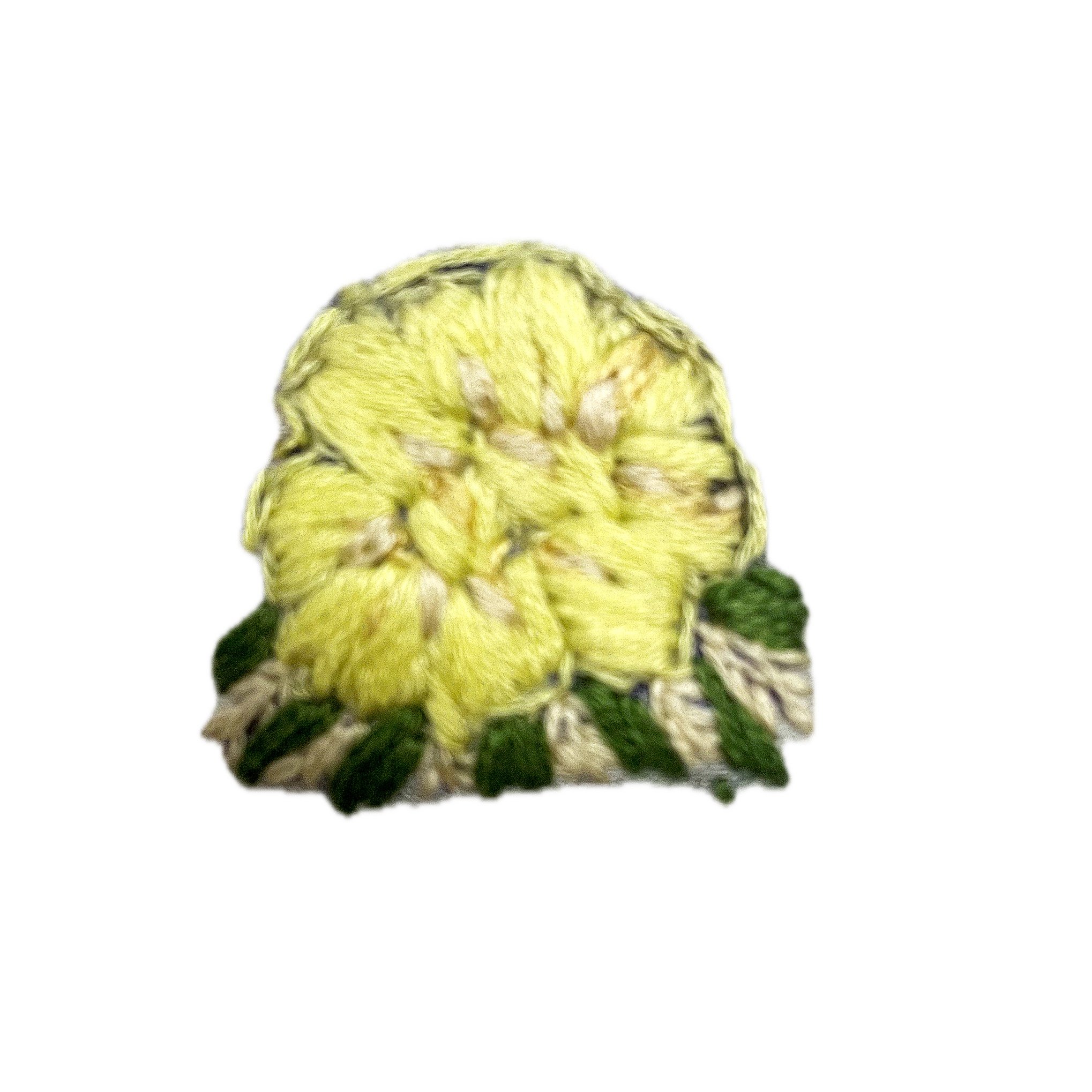 Parodia+Wasii+Desert+by+Kamakshi.jpg