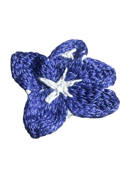 IMG_5511.png