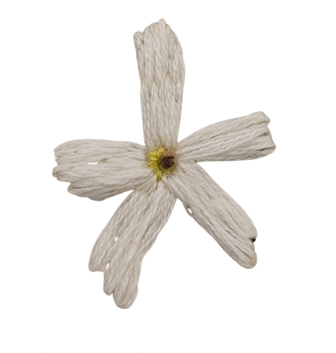 IMG_5516.png