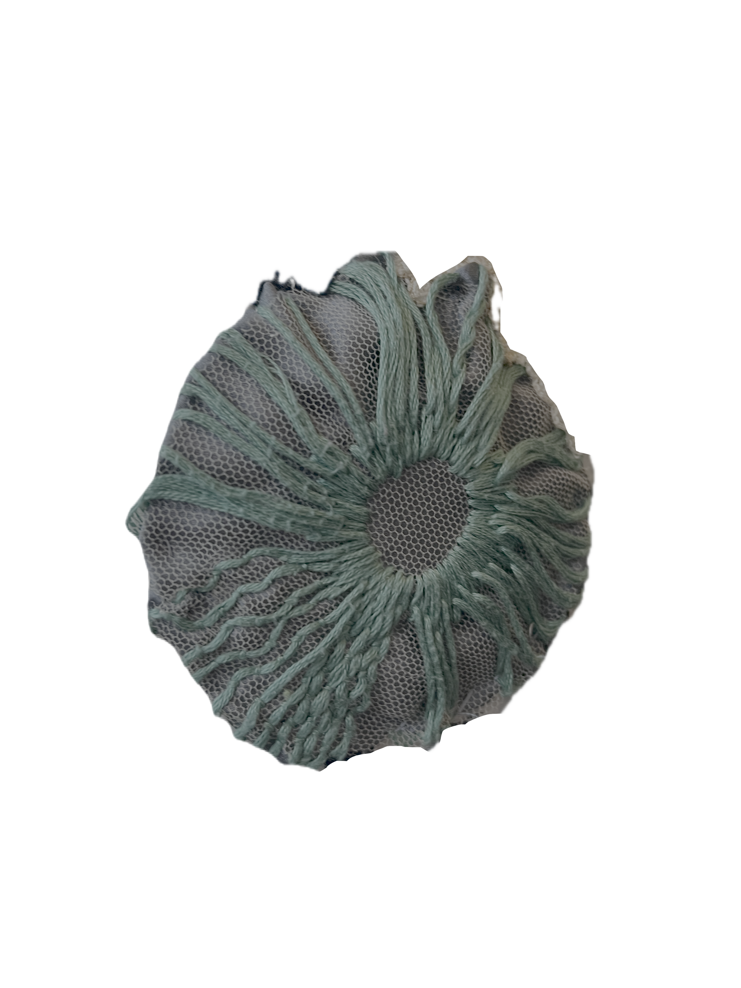 mermaid’s wineglass algae.png