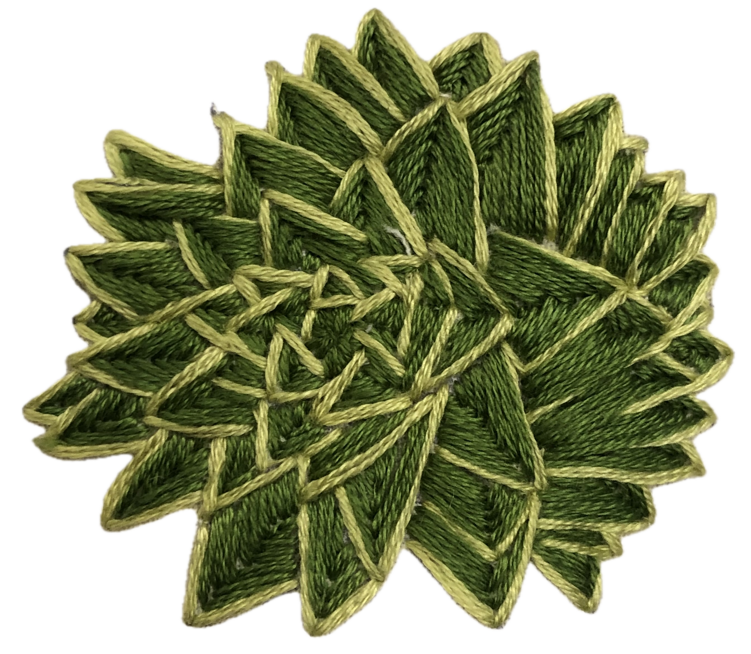 Monkey puzzle.png