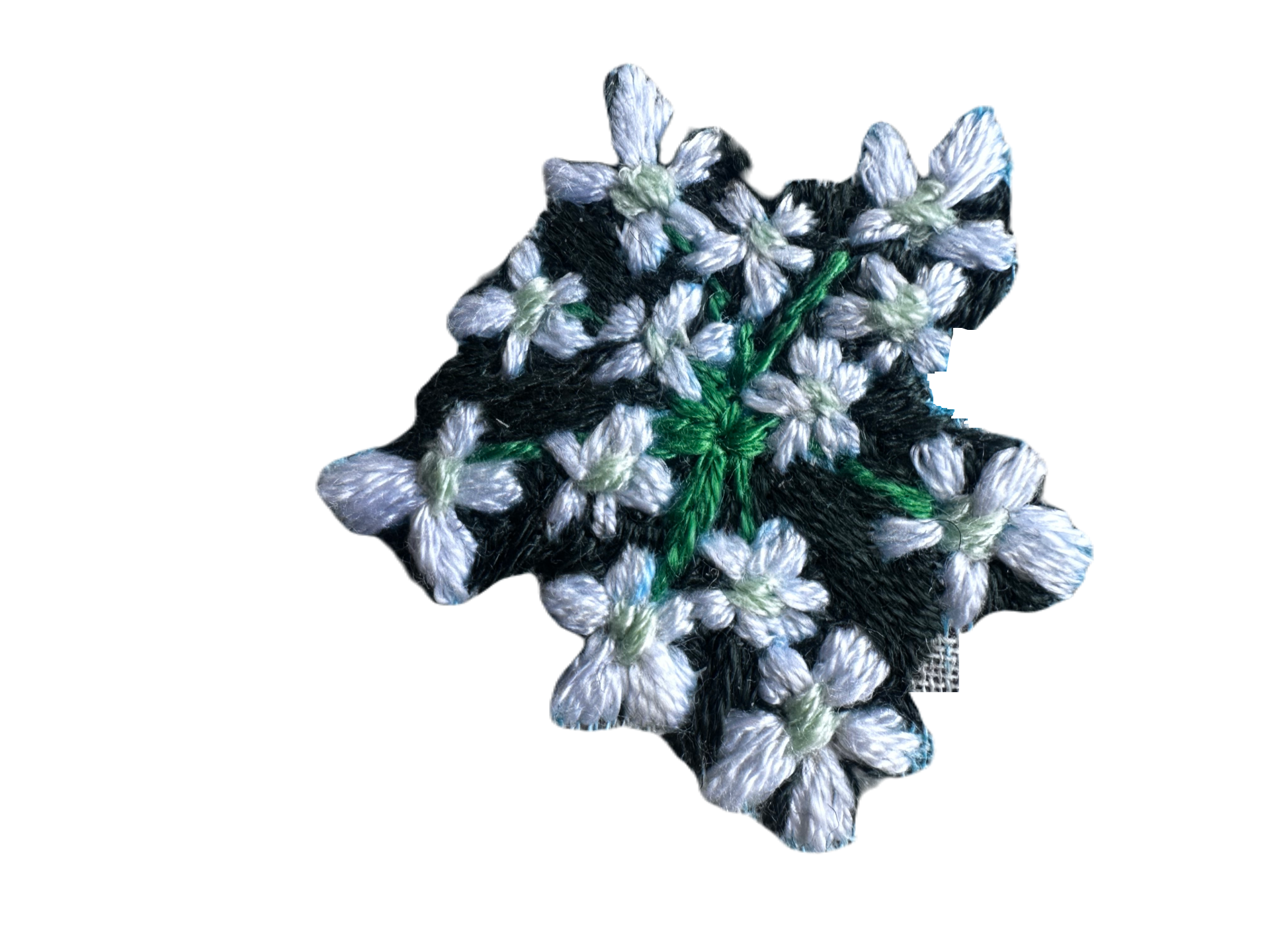 IMG_4101.png