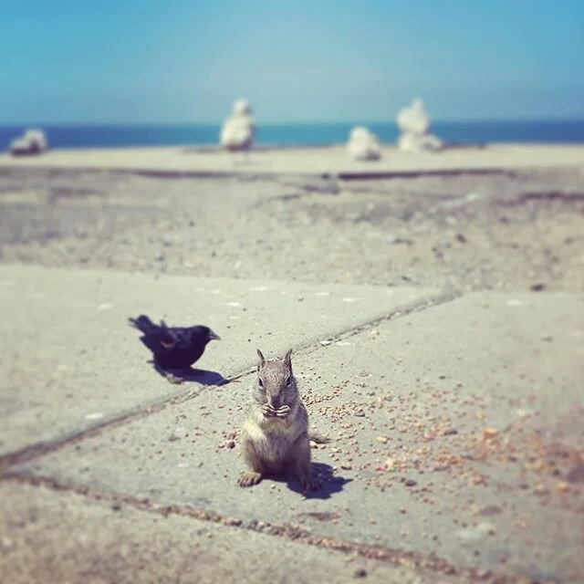 Grateful for the one accord.#TreasureHunter #BeautyFinder #GoanePlaces