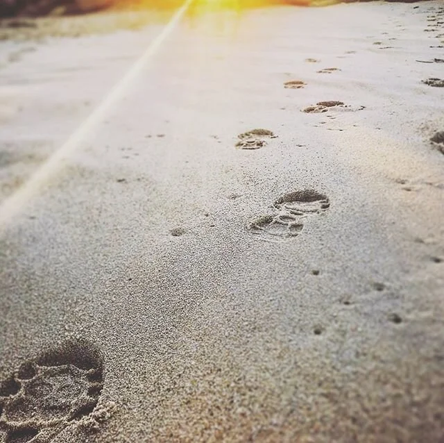 Grateful for that one step in front of the other.  #try