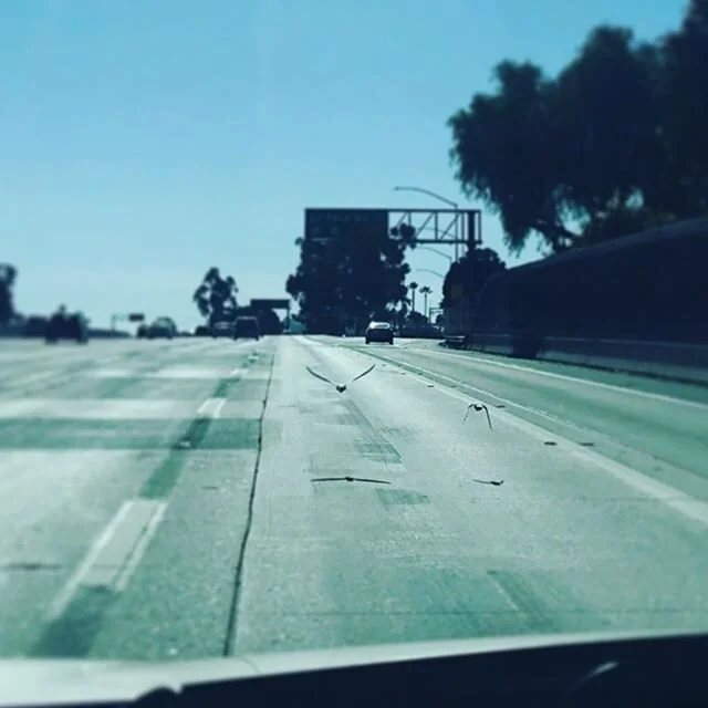 Grateful for the many forms of listening communication. #Goaneplaces #askinquestions