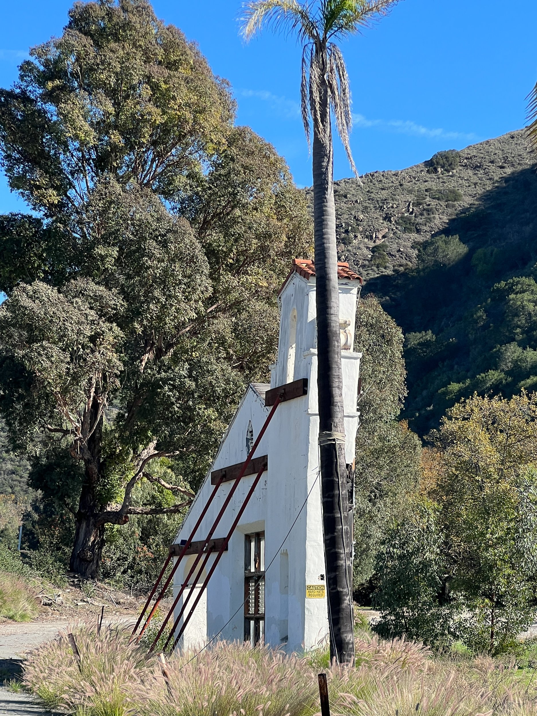 michele terry writer first motel in the world-2.jpg