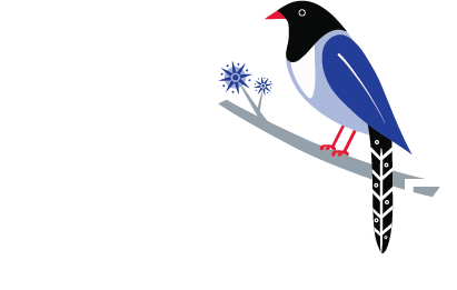 Blue Magpie 