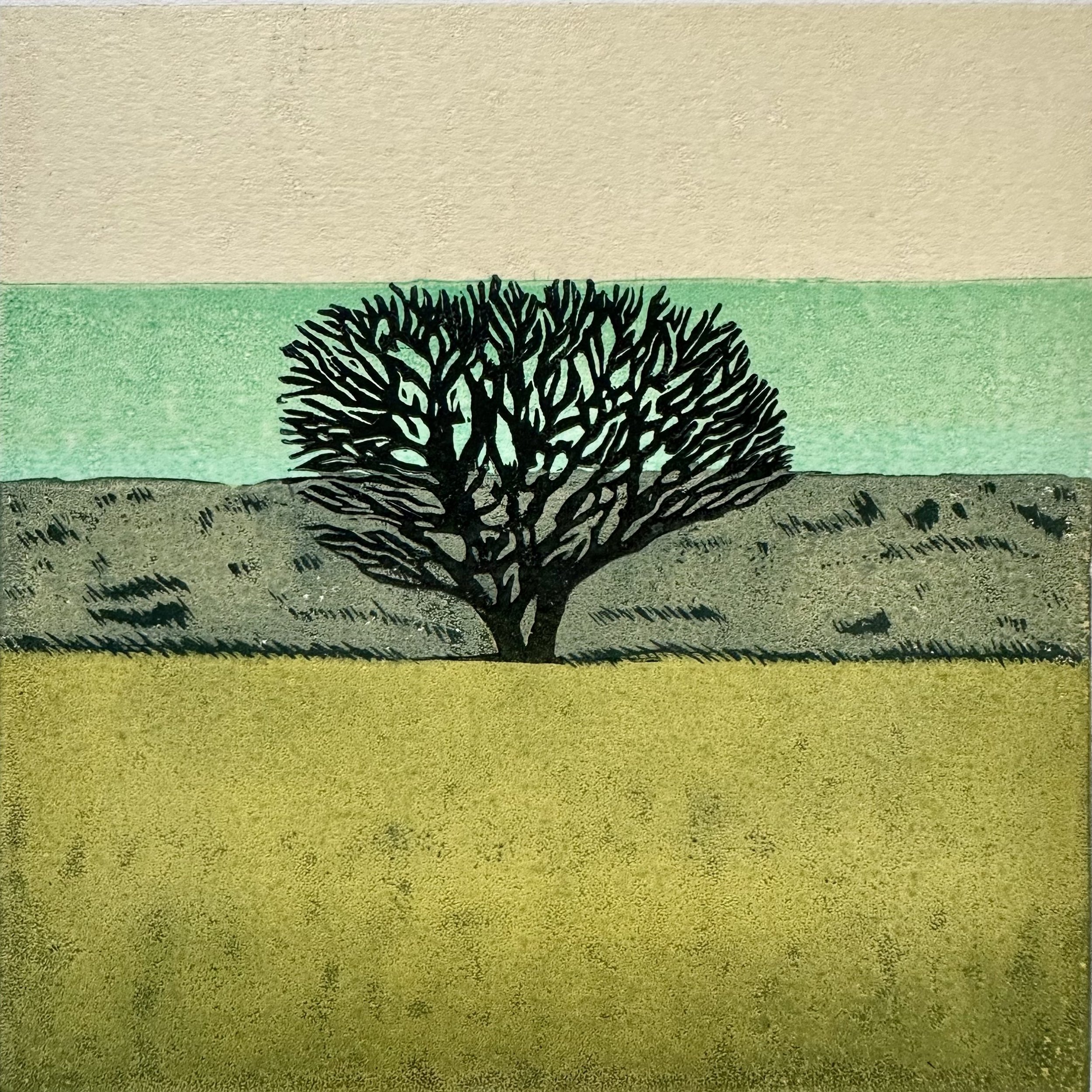 Anna Lansley Printmaker