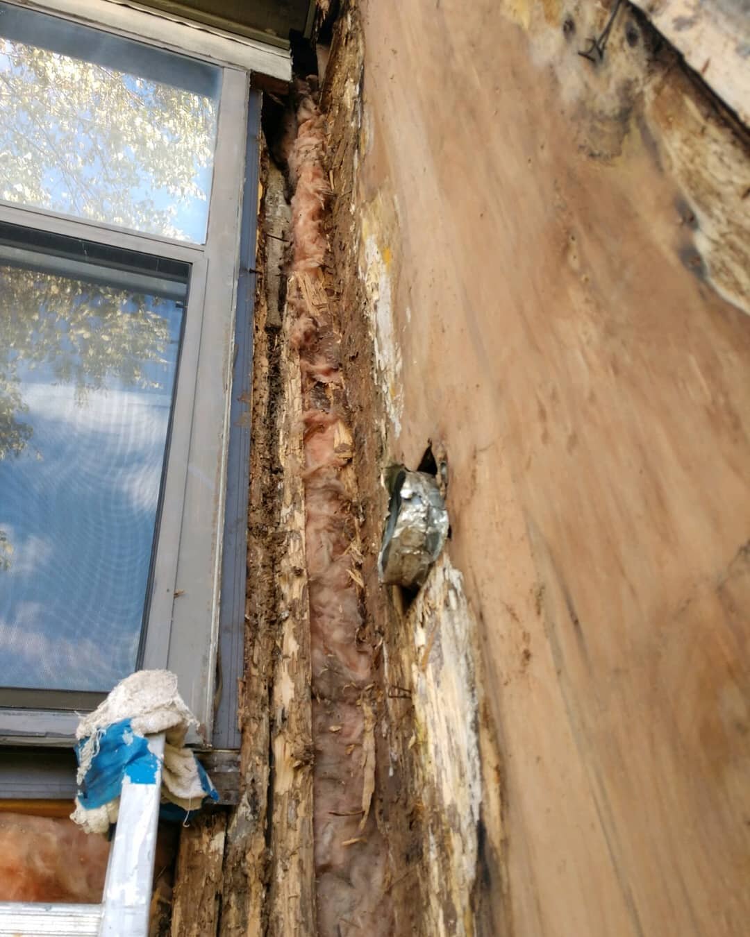 Termites are quiet destroyers. Sometimes you don't know they're in your home, until they've eaten their way to your roof.&nbsp;

#termites #calvertexterminators #exterminator #exterminators #exterminatorsofinstagram #pestcontrol #pestcontrolservice #